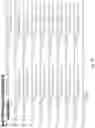 Fig. 07 - Applications of Streptococcus-derived Cas9 nucleases on minimal Adenine-rich PAM targets