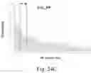 Fig. 27 - Optimal maize loci