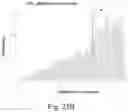 Fig. 29 - Optimal maize loci