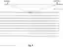 Fig. 05 - Waxy corn
