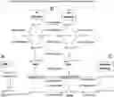 Fig. 01 - Process for the production of polyunsaturated fatty acids in transgenic organisms