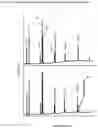 Fig. 04 - Process for the production of polyunsaturated fatty acids in transgenic organisms