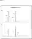 Fig. 13 - Process for the production of polyunsaturated fatty acids in transgenic organisms