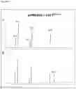 Fig. 16 - Process for the production of polyunsaturated fatty acids in transgenic organisms