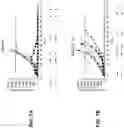 Fig. 12 - Viral vector constructs for delivery of nucleic acids encoding cytokines and uses thereof for treating cancer