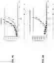 Fig. 16 - Viral vector constructs for delivery of nucleic acids encoding cytokines and uses thereof for treating cancer