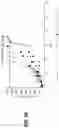 Fig. 17 - Viral vector constructs for delivery of nucleic acids encoding cytokines and uses thereof for treating cancer