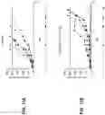 Fig. 19 - Viral vector constructs for delivery of nucleic acids encoding cytokines and uses thereof for treating cancer