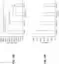 Fig. 25 - Viral vector constructs for delivery of nucleic acids encoding cytokines and uses thereof for treating cancer