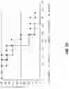 Fig. 31 - Viral vector constructs for delivery of nucleic acids encoding cytokines and uses thereof for treating cancer