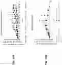 Fig. 33 - Viral vector constructs for delivery of nucleic acids encoding cytokines and uses thereof for treating cancer