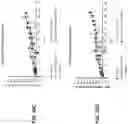 Fig. 34 - Viral vector constructs for delivery of nucleic acids encoding cytokines and uses thereof for treating cancer