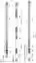Fig. 35 - PLASMID SYSTEM