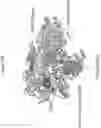 Fig. 16 - Nucleic acid-guided nucleases