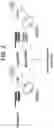 Fig. 04 - COMPOSITIONS AND METHODS FOR IMPROVED GENE EDITING