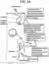 Fig. 05 - COMPOSITIONS AND METHODS FOR IMPROVED GENE EDITING