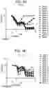 Fig. 07 - COMPOSITIONS AND METHODS FOR IMPROVED GENE EDITING