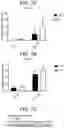 Fig. 11 - COMPOSITIONS AND METHODS FOR IMPROVED GENE EDITING