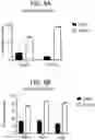 Fig. 13 - COMPOSITIONS AND METHODS FOR IMPROVED GENE EDITING