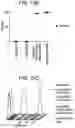 Fig. 17 - COMPOSITIONS AND METHODS FOR IMPROVED GENE EDITING