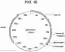 Fig. 24 - COMPOSITIONS AND METHODS FOR IMPROVED GENE EDITING