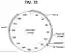 Fig. 26 - COMPOSITIONS AND METHODS FOR IMPROVED GENE EDITING