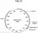 Fig. 29 - COMPOSITIONS AND METHODS FOR IMPROVED GENE EDITING