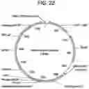 Fig. 30 - COMPOSITIONS AND METHODS FOR IMPROVED GENE EDITING