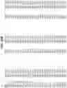 Fig. 32 - COMPOSITIONS AND METHODS FOR IMPROVED GENE EDITING