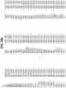 Fig. 42 - COMPOSITIONS AND METHODS FOR IMPROVED GENE EDITING