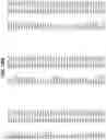 Fig. 43 - COMPOSITIONS AND METHODS FOR IMPROVED GENE EDITING