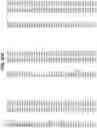 Fig. 44 - COMPOSITIONS AND METHODS FOR IMPROVED GENE EDITING