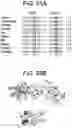 Fig. 49 - COMPOSITIONS AND METHODS FOR IMPROVED GENE EDITING