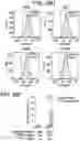 Fig. 58 - COMPOSITIONS AND METHODS FOR IMPROVED GENE EDITING