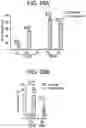 Fig. 60 - COMPOSITIONS AND METHODS FOR IMPROVED GENE EDITING