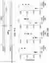 Fig. 16 - NOVEL NUCLEIC ACID MODIFIERS