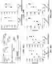 Fig. 17 - NOVEL NUCLEIC ACID MODIFIERS