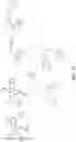Fig. 18 - NOVEL NUCLEIC ACID MODIFIERS