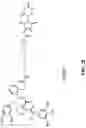 Fig. 29 - NOVEL NUCLEIC ACID MODIFIERS