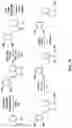 Fig. 30 - NOVEL NUCLEIC ACID MODIFIERS