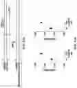 Fig. 43 - NOVEL NUCLEIC ACID MODIFIERS