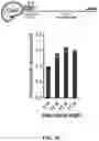 Fig. 45 - NOVEL NUCLEIC ACID MODIFIERS