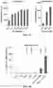 Fig. 47 - NOVEL NUCLEIC ACID MODIFIERS