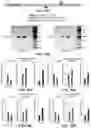 Fig. 48 - NOVEL NUCLEIC ACID MODIFIERS