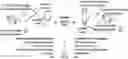Fig. 01 - Methods and Compositions for Cell-Free Biological Reactions