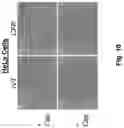 Fig. 14 - CELL-FREE PRODUCTION OF RIBONUCLEIC ACID