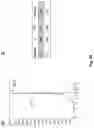 Fig. 26 - CELL-FREE PRODUCTION OF RIBONUCLEIC ACID