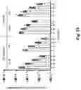 Fig. 27 - CELL-FREE PRODUCTION OF RIBONUCLEIC ACID
