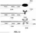 Fig. 13 - METHODS AND SYSTEMS FOR BARCODING MULTIPLE NUCLEIC ACID ANALYTES