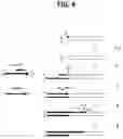 Fig. 05 - METHODS FOR MULTIPLEX PCR